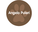 Angelo Puleri Trusted Dog Walking