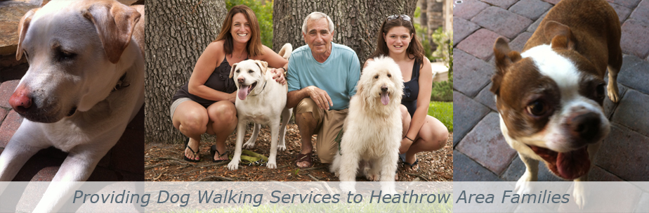 Providing Dog Walking Services to Heathrow Area Families